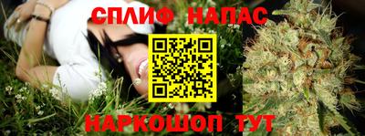 гидра Абинск