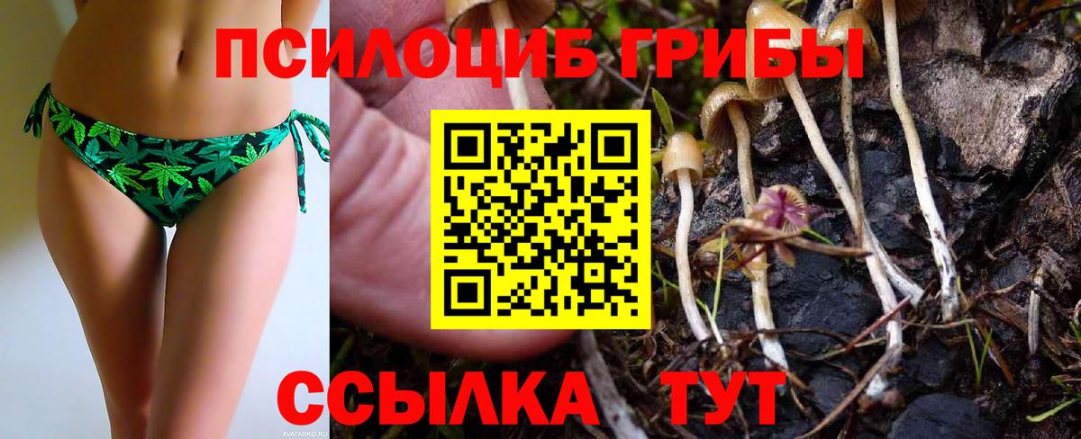 Галлюциногенные грибы MAGIC MUSHROOMS Алатырь